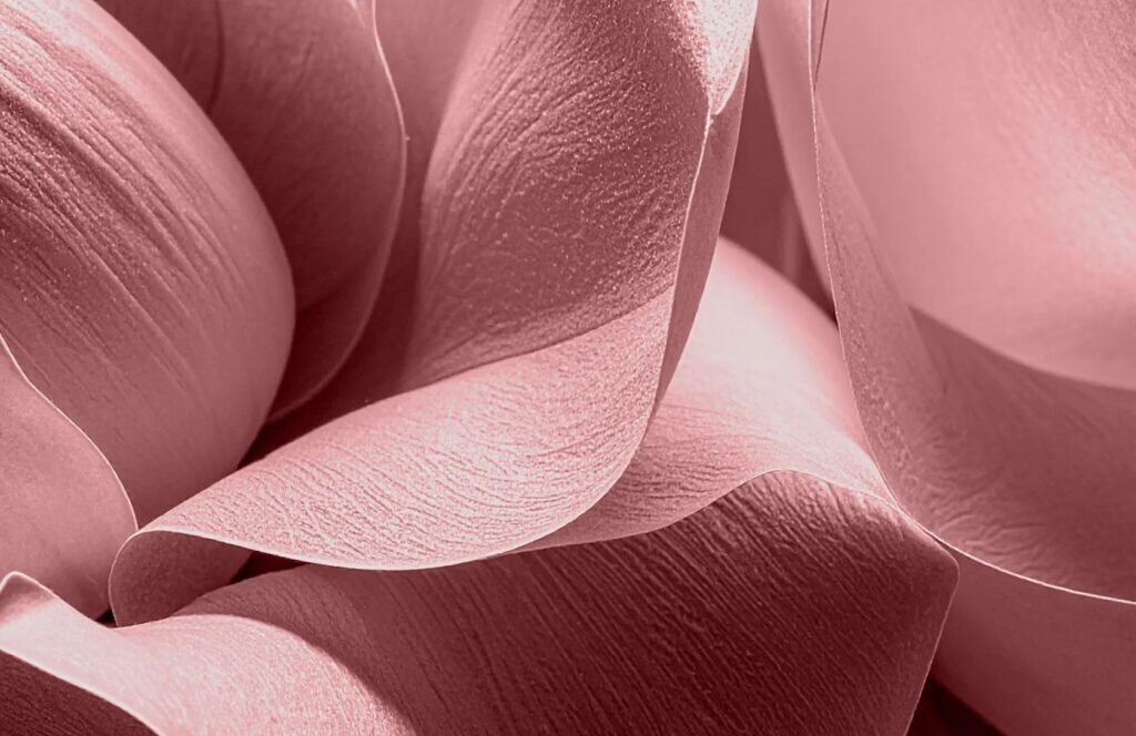 imgi_7_pantone-fashion-color-trend-report-spring-summer-2026-new-york-intro-1