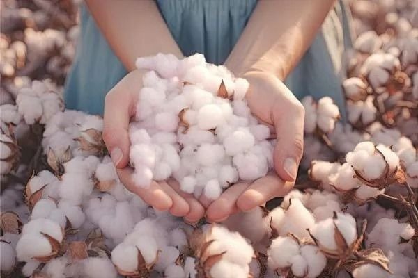 imgi_61_ae8033e75c46b1df426ae73718418e4c